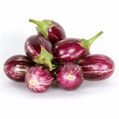 Brinjal-கத்திரிக்காய்